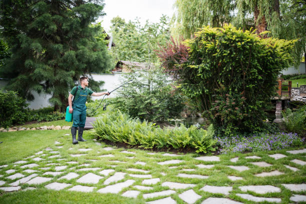 Best Pest Control Cost  in James Island, SC