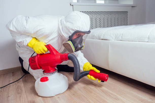 Best Affordable Pest Control Services  in James Island, SC
