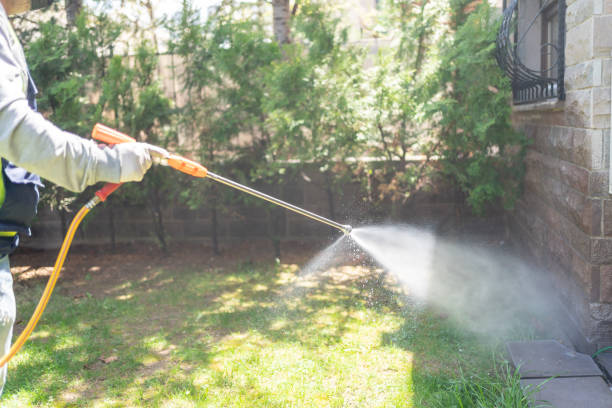 Best Termite Control Services  in James Island, SC