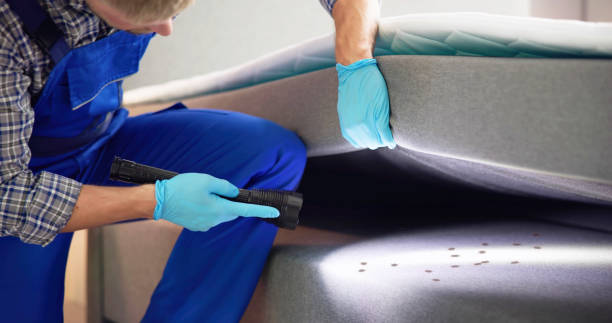Best Pest Removal Services  in James Island, SC