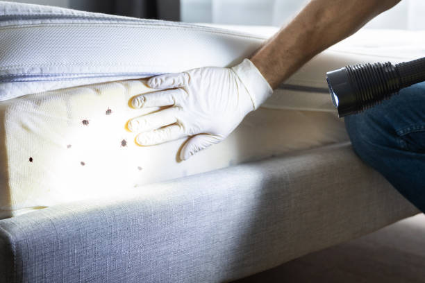 Pest Control for Restaurants in James Island, SC