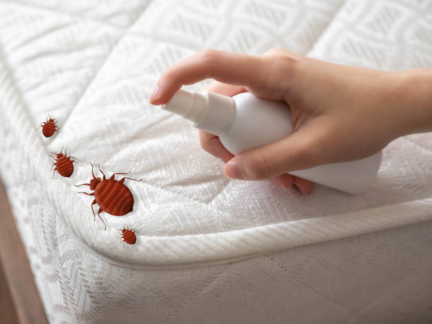 Pest Control Cost in James Island, SC