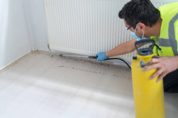 Best Pest Prevention Services  in James Island, SC